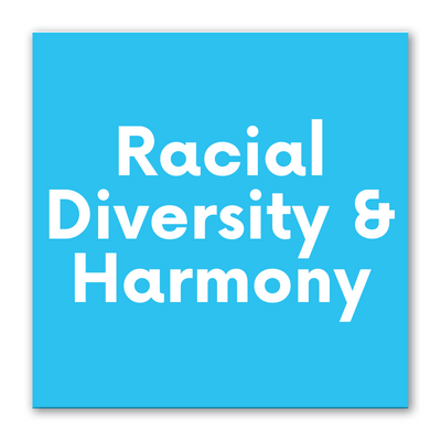 10 Racial Diversity & Harmony